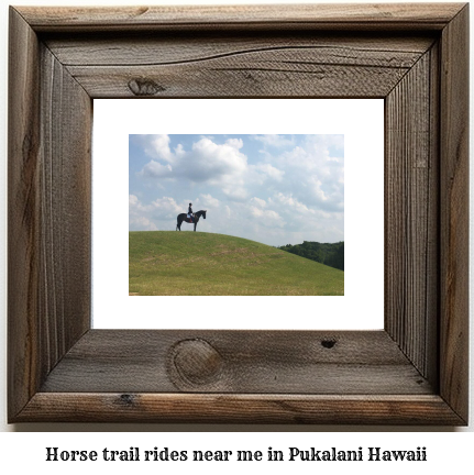 horse trail rides near me in Pukalani, Hawaii